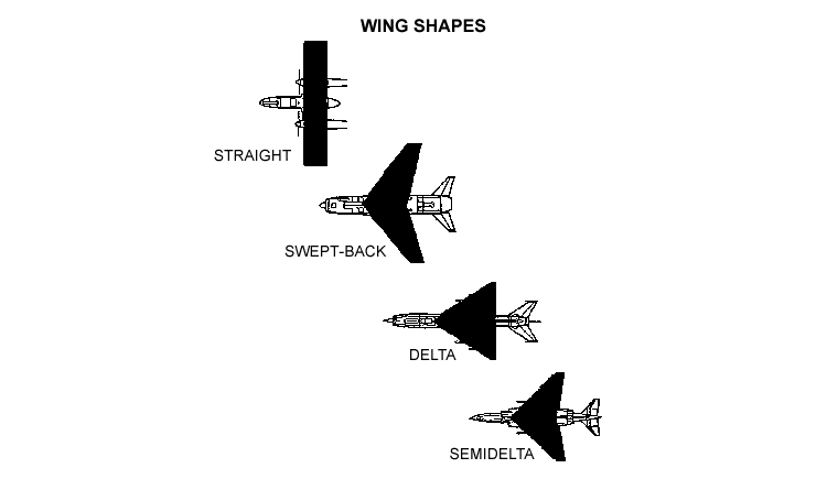 Drawing: Wing Shapes