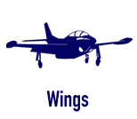 Graphic: Wings
