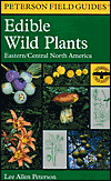 Image: Bookcover of A Field Guide to Edible Wild Plants